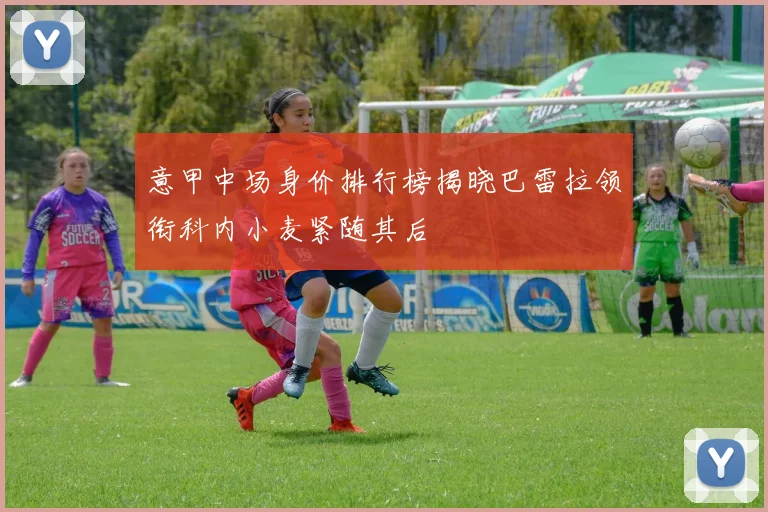 意甲中场身价排行榜揭晓巴雷拉领衔科内小麦紧随其后