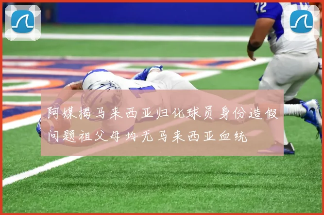 阿媒揭马来西亚归化球员身份造假问题祖父母均无马来西亚血统