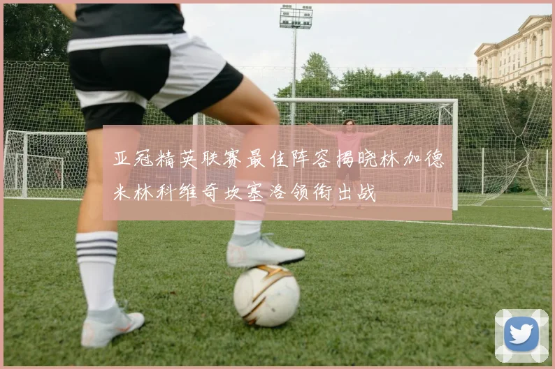 亚冠精英联赛最佳阵容揭晓林加德米林科维奇坎塞洛领衔出战