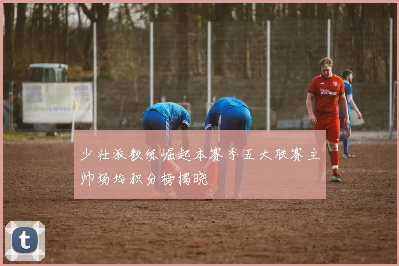 少壮派教练崛起本赛季五大联赛主帅场均积分榜揭晓